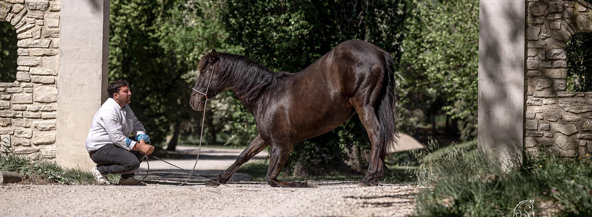 Benoît Soumille et son cheval noir Vertigo