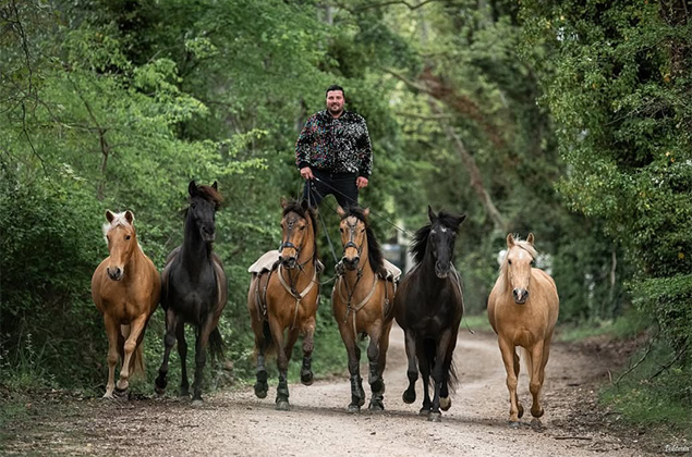 Benoît en poste hongroise avec chevaux en liberté