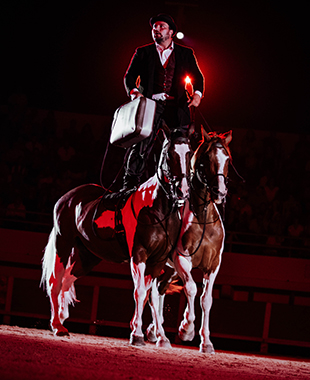 1 cavalier déguisé en vieux monsieur debout sur 2 chevaux