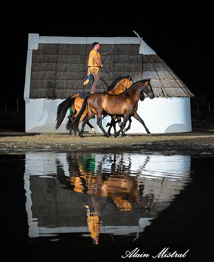 1 cavalier debout déguisé en indien sur 2 chevaux