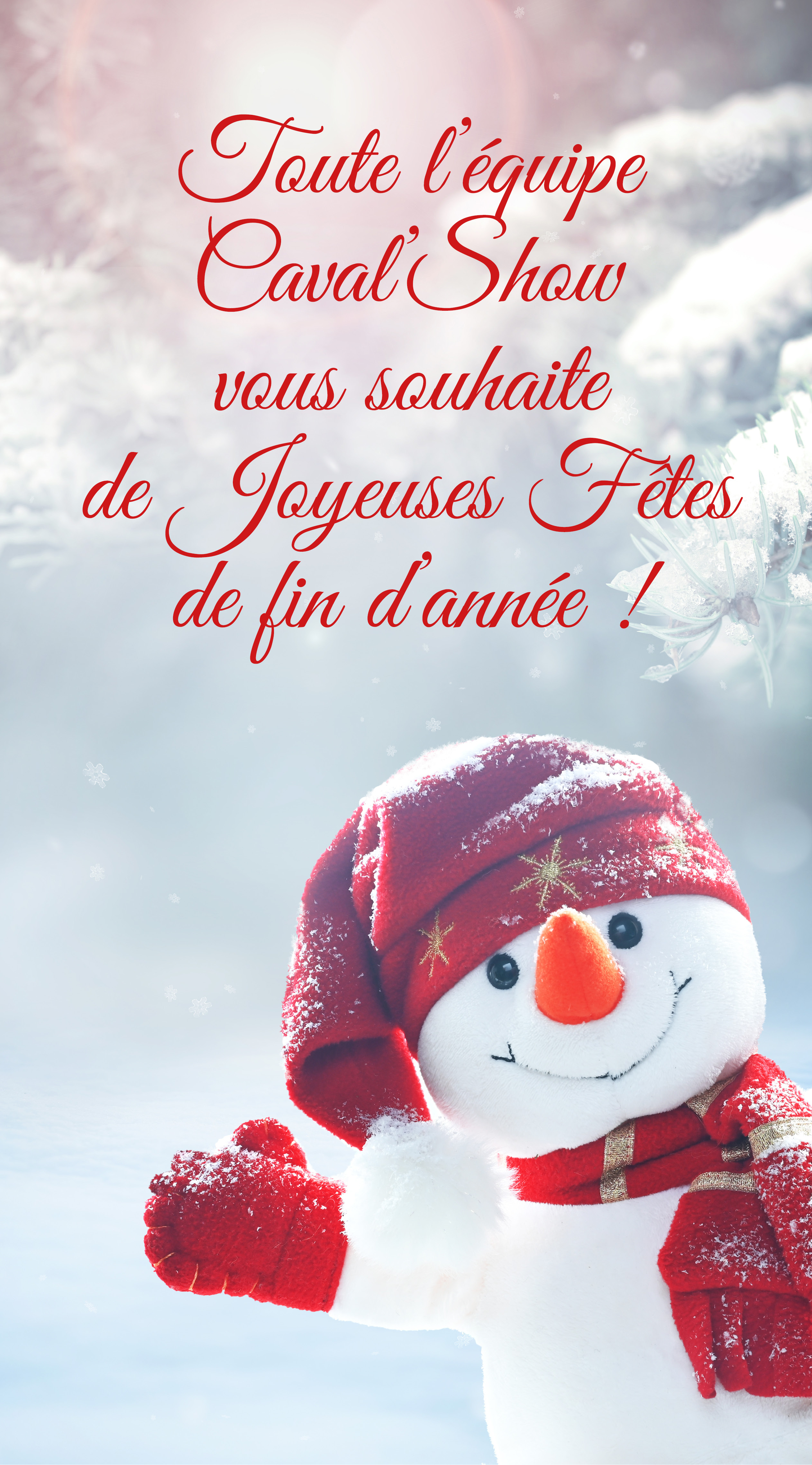 Message voeux de Noël