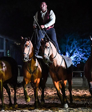 Poste hongroise sur 2 chevaux