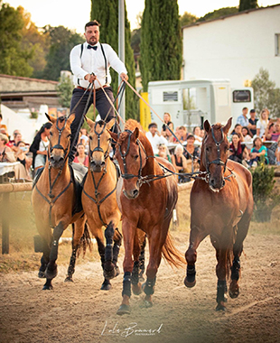 Poste hongroise avec 4 chevaux