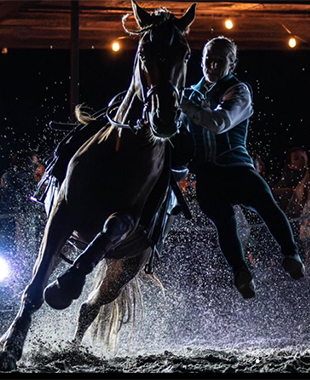 Une voltigeuse fait un à terre avec cheval au galop