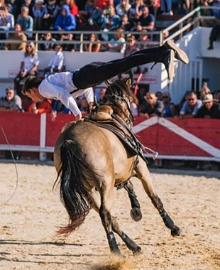 Un voltigeur fait une planche sur le dos du cheval au galop